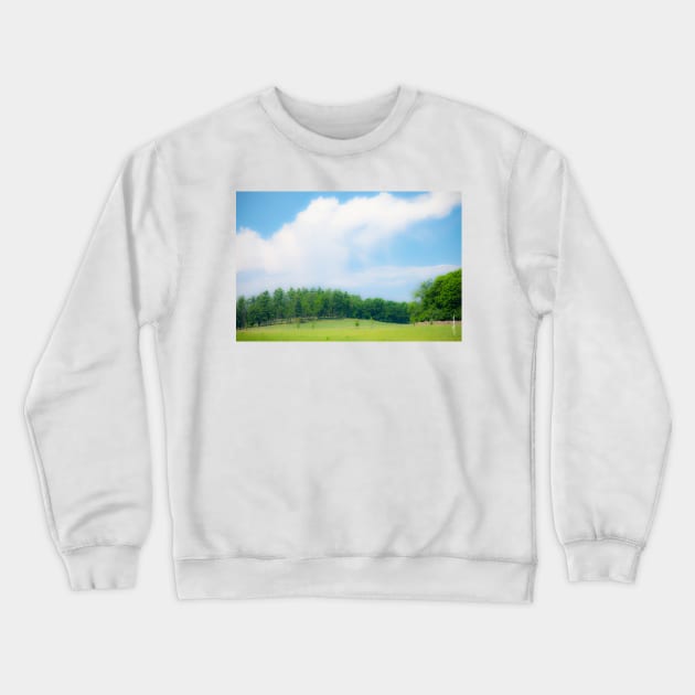 Summer Day at Shelburne Farms, Vermont Crewneck Sweatshirt by srwdesign